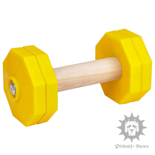 Dumbbell of Plastic and Wood for IGP Training, 1 Kg