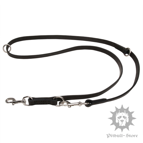 Multifunctional Dog Leash with Stainless Steel Hardware