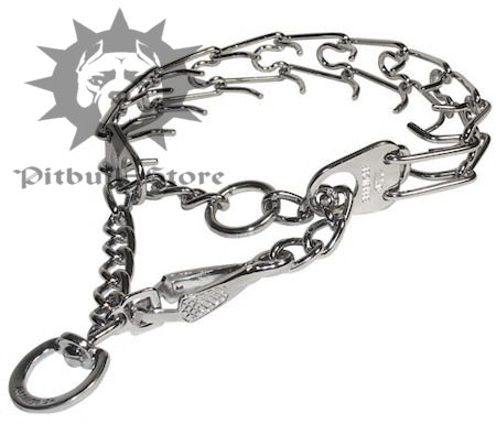 Dog Pinch Collar