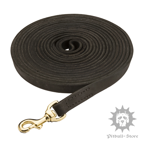 Wide Extra Long Dog Lead for Police Work, 3/4 Inch