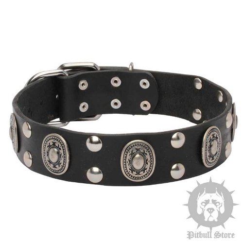 Chic Leather Dog Collar "Viking" Studs Oval Plates for Amstaff