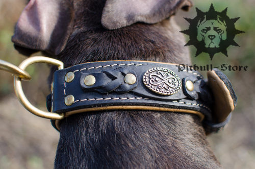 Bestseller! Luxury Dog Collar Nappa Padded and Decorated