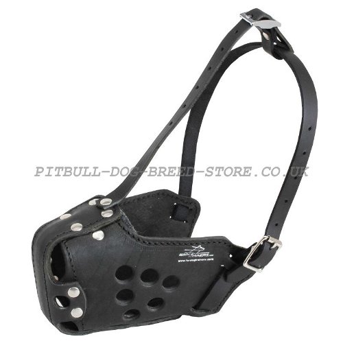 Staffy Dog Muzzle for Working and Training, Natural Leather