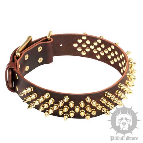 Startling Spiked Leather Dog Collar for Walks in Style