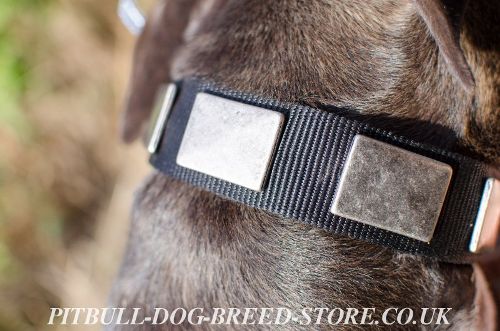 Pitbull Collar of Nylon with Wide Nickel Plates for Everyday Use