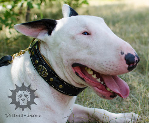 Royal Dog Collar for Bull Terrier, Nappa-Lined Leather
