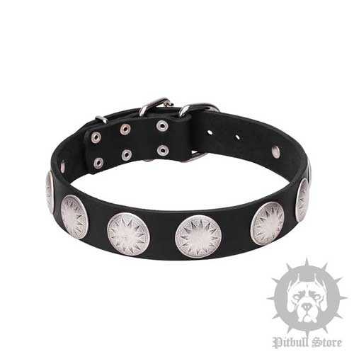 Cool Shiny Dog Collar with Large Engraved Stars