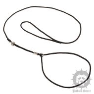 Leash and Collar for Pitbull Shows and Rings, Combo
