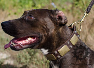 Stylish Dog Collar Made of Leather | Custom Made Dog Collars, UK Stylish Dog Collar Made of Leather | Custom Made Dog Collars, UK