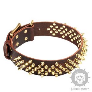 Startling Spiked Leather Dog Collar for Walks in Style