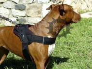 Pitbull Harness of Nylon | Dog Tracking and Pulling ❺
