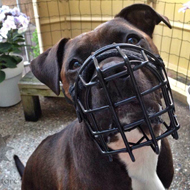 Wire Dog Muzzles UK