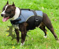 Pitbull Outdoor nylon dog harness UK