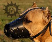 Light Everyday Leather dog
muzzle