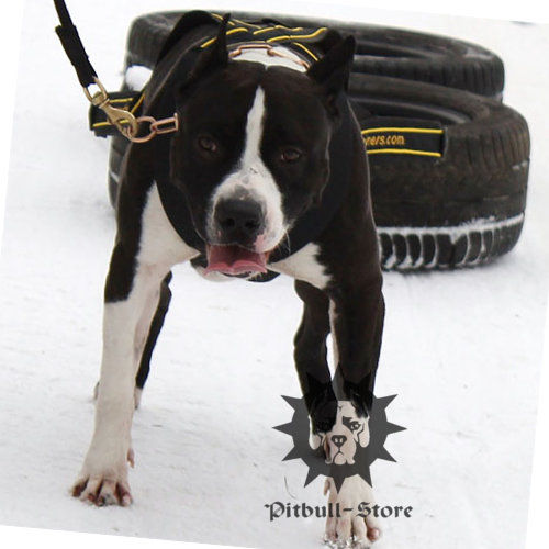 Dog weight pulling harness