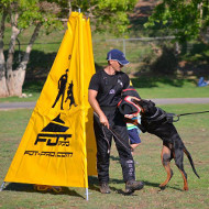 Schutzhund Blind for Professional Dog Sports & Training