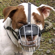 Wire Dog Muzzle for English Staffy, Basket Design
for Walking