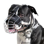 Wire Basket Bull Terrier Muzzle for free breathing