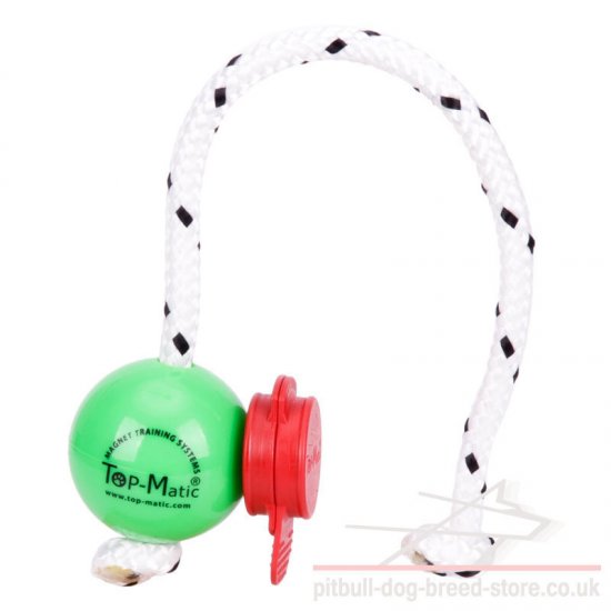 Magnet Ball for Dog Training