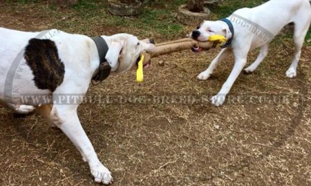 Stuffed Jute Bite Tug for Grown-Up Dogs