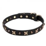 Leather Pitbull Collar with Old Bronze-Plated Stars and Cones