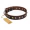 "Rare Flower" FDT Artisan Brown Dog Collar for Staffy Walks