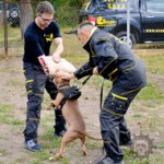 Police Dog Training Suit in Black with Numerous Pockets