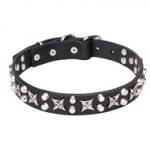 Handmade Dog Collar with Stars and Studs for Staffy & Pitbull