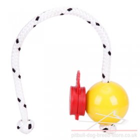 Top-Matic Fun Ball SOFT with Maxi Power-Clip for Small Staffy