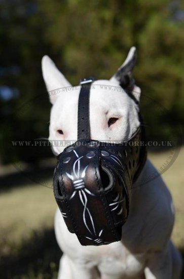 Leather Bull Terrier Muzzle Hand Painted with Barbwire Ornament