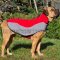 Dog Coat for Cane Corso Comfort in Cold Weather