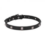 Necklace Dog Collar with Square Studs for Walks in Style