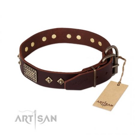 Bestseller! Pitbull Training Leather Collar of Extra Durability