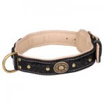 Rich Padded Dog Collar with Braids and Brass Adornments