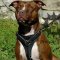 Perfect Pitbull Dog Walking Harness of Leather