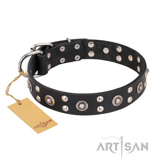 "Refined Essence" FDT Artisan Pitbull Collar of Black Leather - Click Image to Close