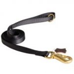Pitbull Leash Nylon with Brass Snap Hook for Multifunctional Use