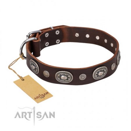 "Age of Beauty" FDT Artisan Brown Leather Dog Collar