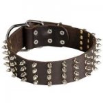 Sparkling Extra Wide Dog Collar with 4 Rows of Spikes
