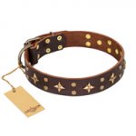 "High Fashion" FDT Artisan Brown Star Dog Collar for Staffy