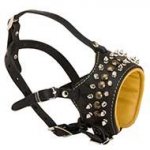 Soft Dog Muzzle for Pitbull with Brass Studs and Nickel Spikes