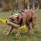 Jute Bite Tug for Grown-Up Amstaff