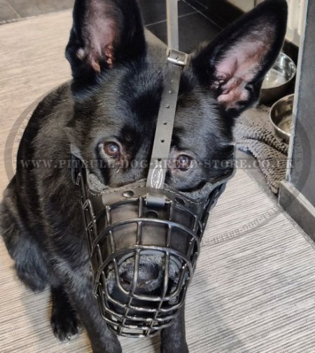 Wire Basket Cage Dog Muzzle Rubberized, Padded with Leather