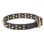 Handmade Dog Collar with Brass Star-shaped Studs & Spikes