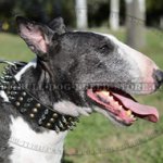 Bling Dog Collars, NEW Design for English Bull Terriers