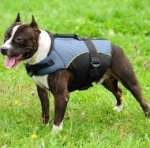 Dog Harness Vest of Nylon for Staffy Rehabilitation and Warming