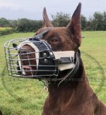Padded Basket Muzzle for Walking/Training/Visiting Vet_1