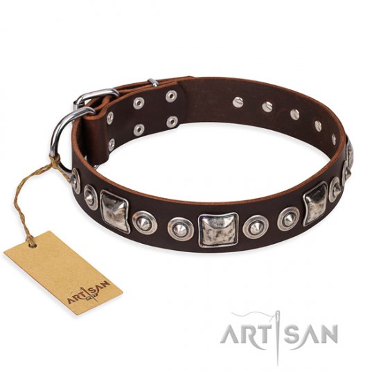 "Pierian spring" FDT Artisan Soft Dog Collar of Brown Leather