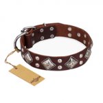 "King of Grace" FDT Artisan Brown Dog Collar with Diamonds