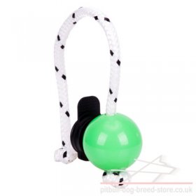 Top Matic Magnetic Ball Mini with Multi Power-Clip for Staffy